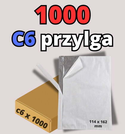 biur_kang_114_162_C6_1000