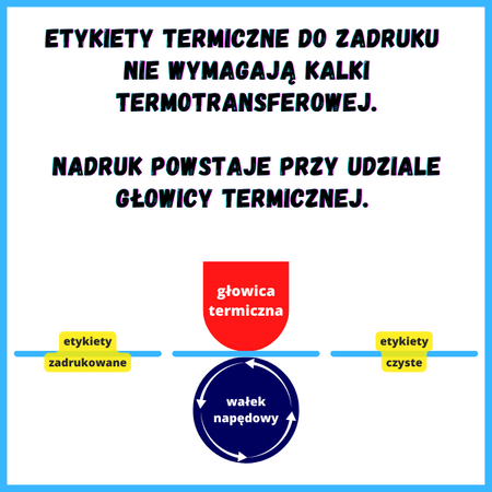 karton etykiet 50x30 mm termiczne 1000 szt. 120 rol. samoprzylepne białe